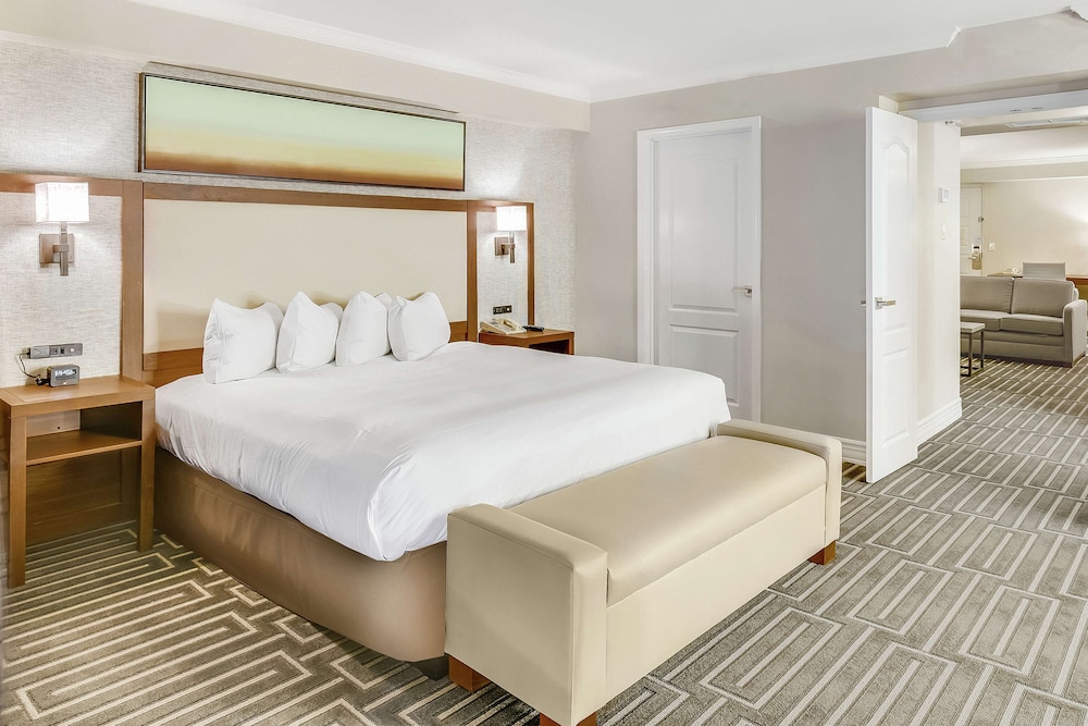 Room, 1 King Bed, Accessible, Bathtub (Mobility & Hearing) - Photo 1
