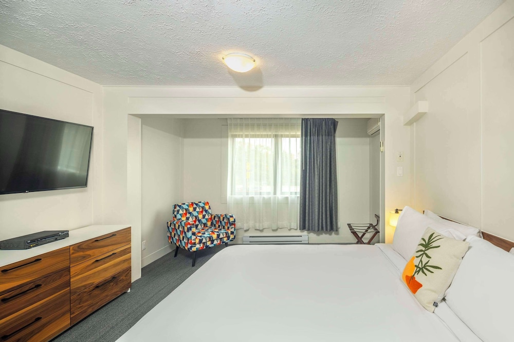 Suite, 1 King Bed with Sofa bed, Non Smoking