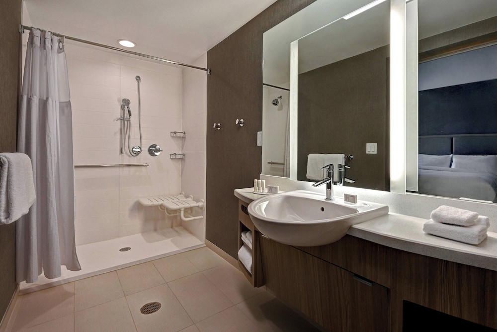 Suite, 1 King Bed - Photo 8