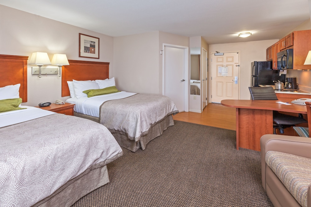 Studio Suite, 2 Double Beds - Photo 3