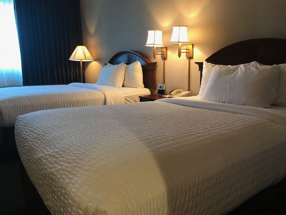 Premium Double Room photo 1