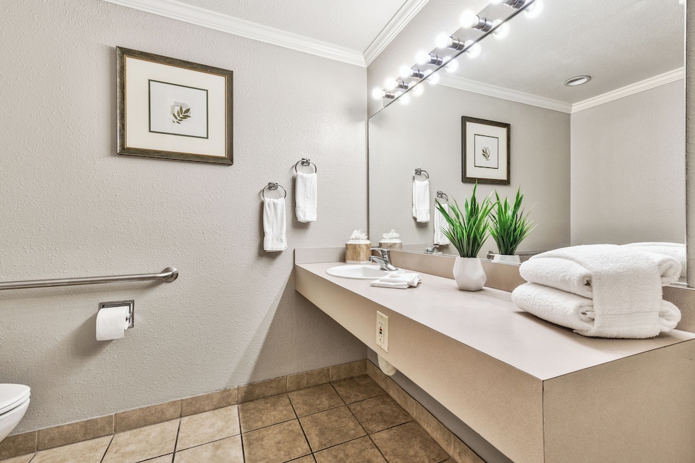 Deluxe Suite, 2 Bedrooms (ADA) - Photo 3