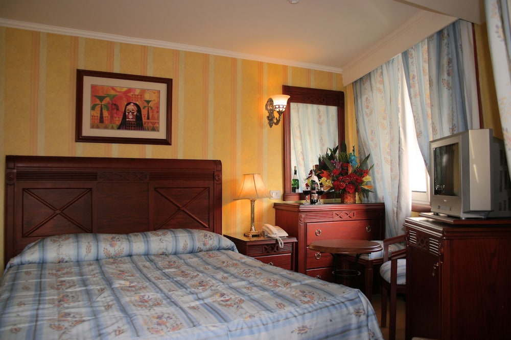 Deluxe Single Room photo 2