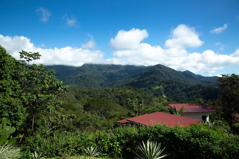 Deluxe Casita, 1 King Bed Aracari photo 3
