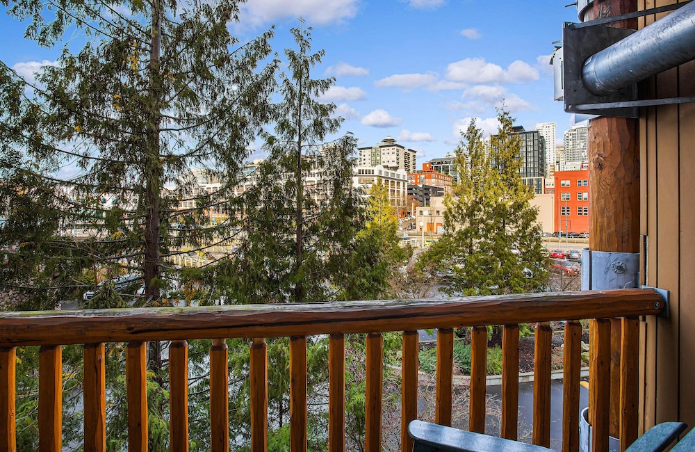 City View King - Photo 16