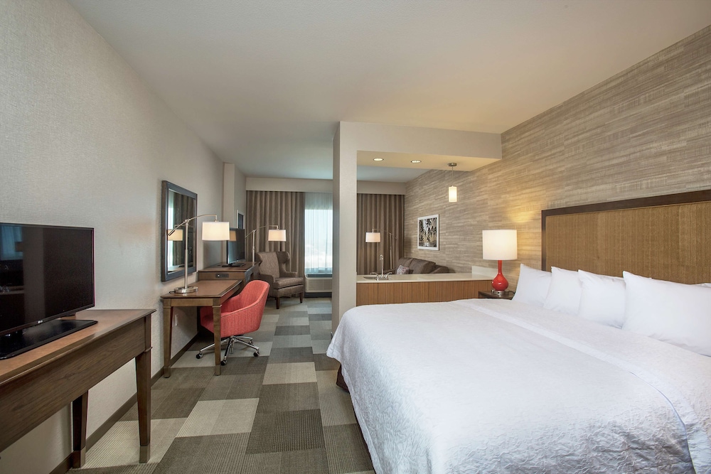 Studio, 1 King Bed, Accessible, Non Smoking (Mobility & Hearing, Roll-in Shower)