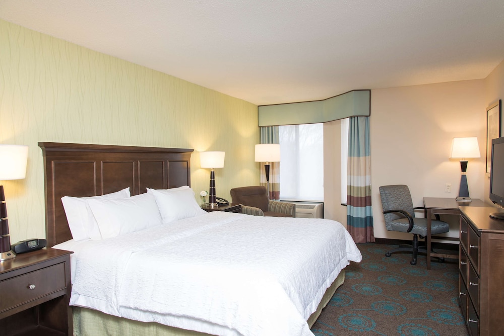 Suite, 1 King Bed, Non Smoking, Fireplace photo 3