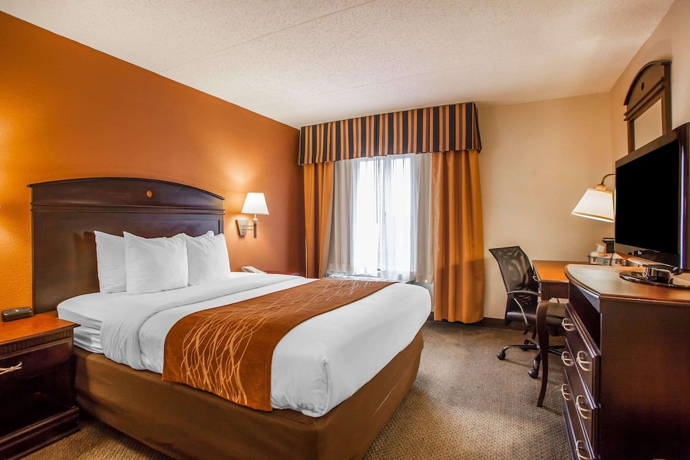 Suite, 1 King Bed with Sofa bed, Non Smoking (Upgrade)