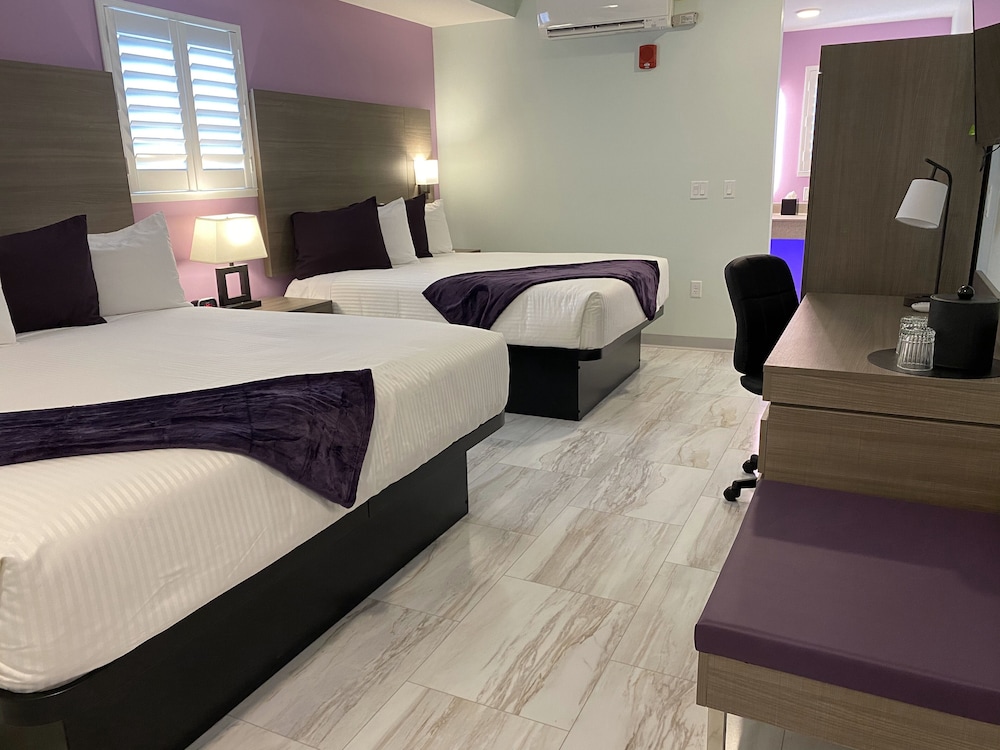 Room, Multiple Beds