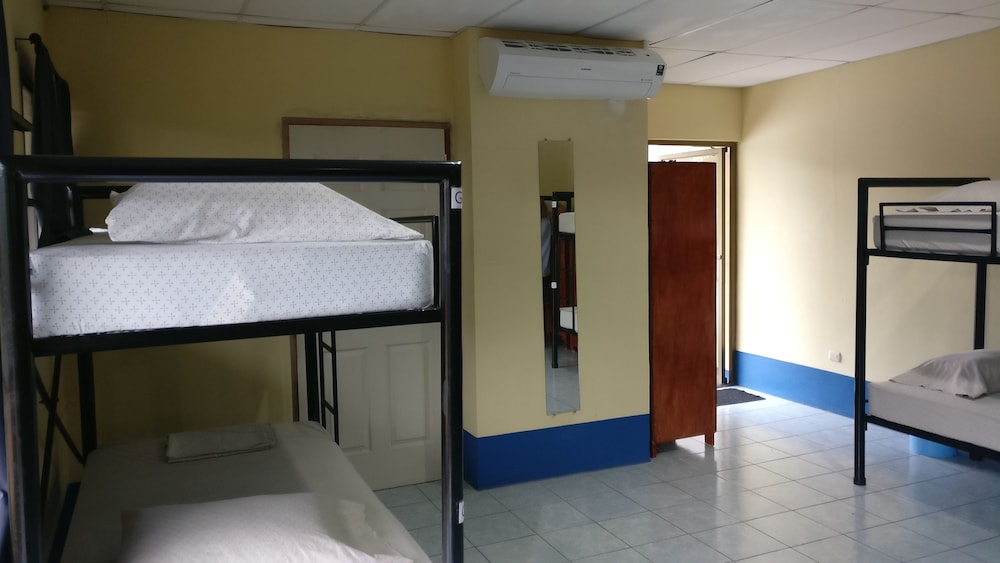 Deluxe Shared Dormitory, Multiple Beds, Non Smoking (5 bunk beds) photo 1