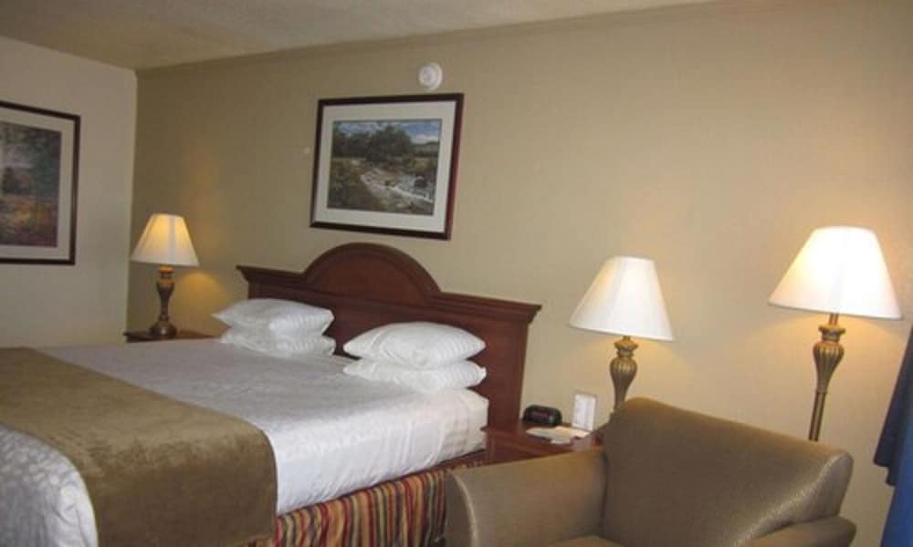 Standard Room, 1 Queen Bed, Refrigerator & Microwave photo 3