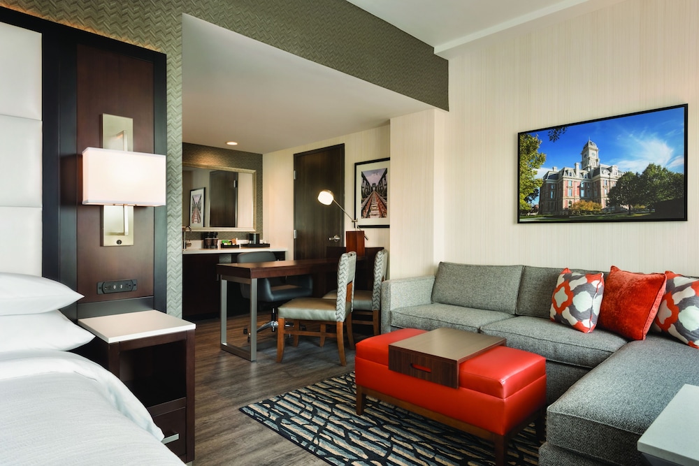 Studio Suite, 1 King Bed, Accessible (Hearing Acc, 1 Room) photo 3