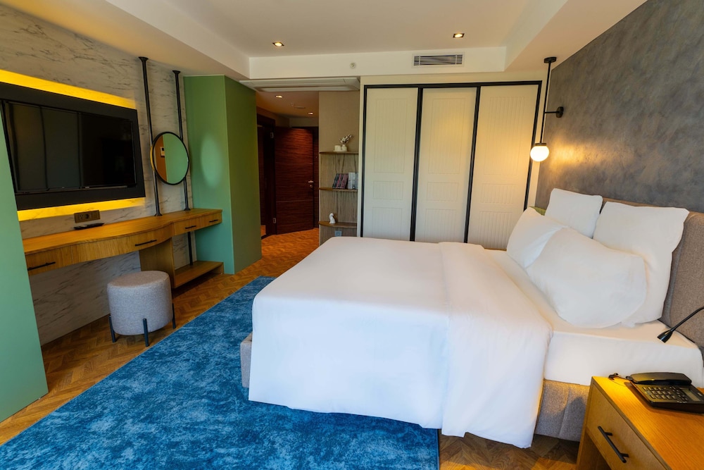Deluxe Double or Twin Room photo 3