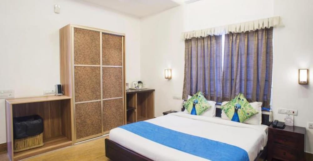 Deluxe Double Room, 1 King Bed photo 1