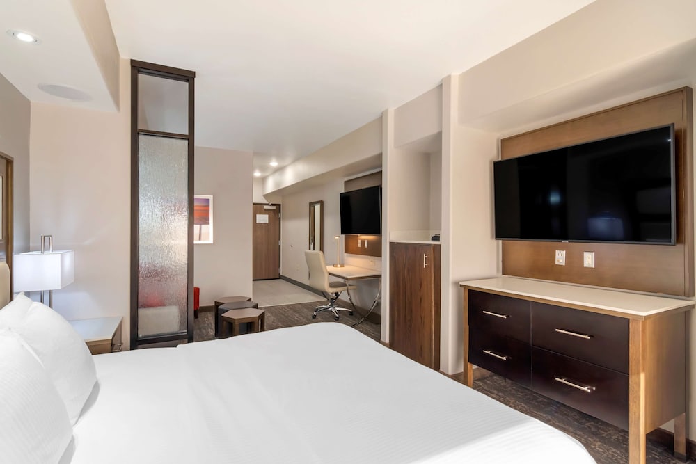 Suite, 1 King Bed, Non Smoking, Refrigerator & Microwave (with Sofabed) - Photo 2