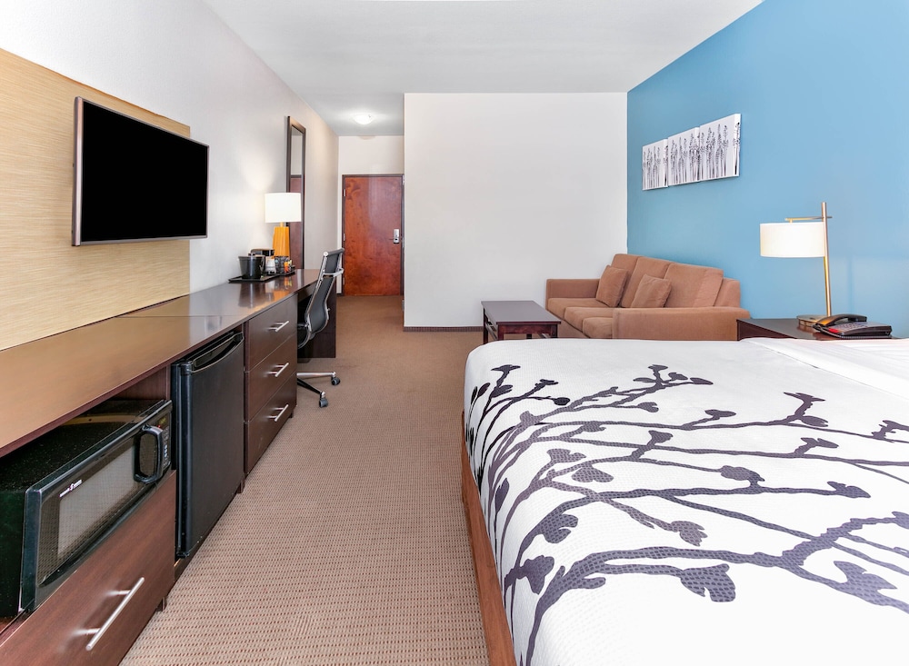 Suite, 1 King Bed, Accessible, Bathtub (Non-Smoking) photo 2