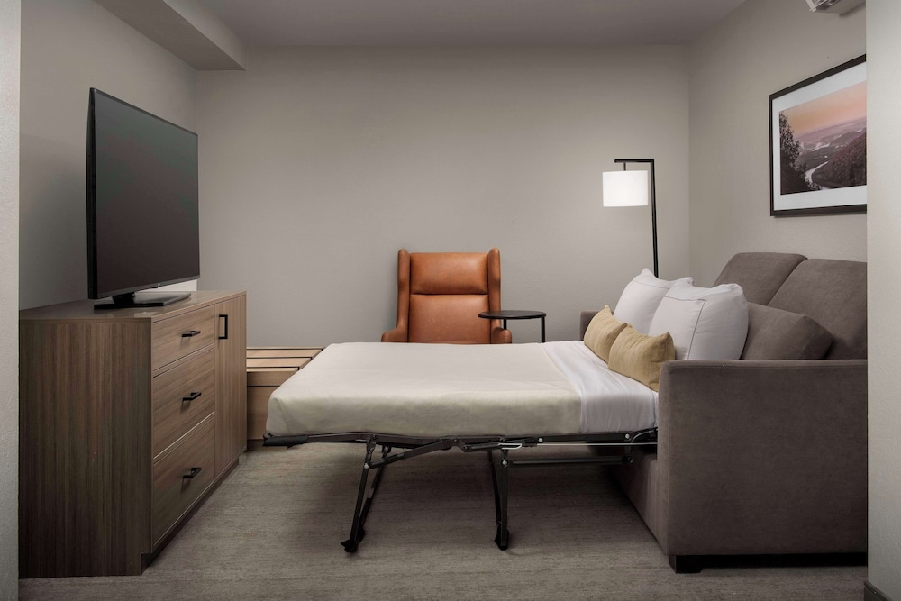 Suite, 1 King Bed (3x3 Shower) - Photo 6