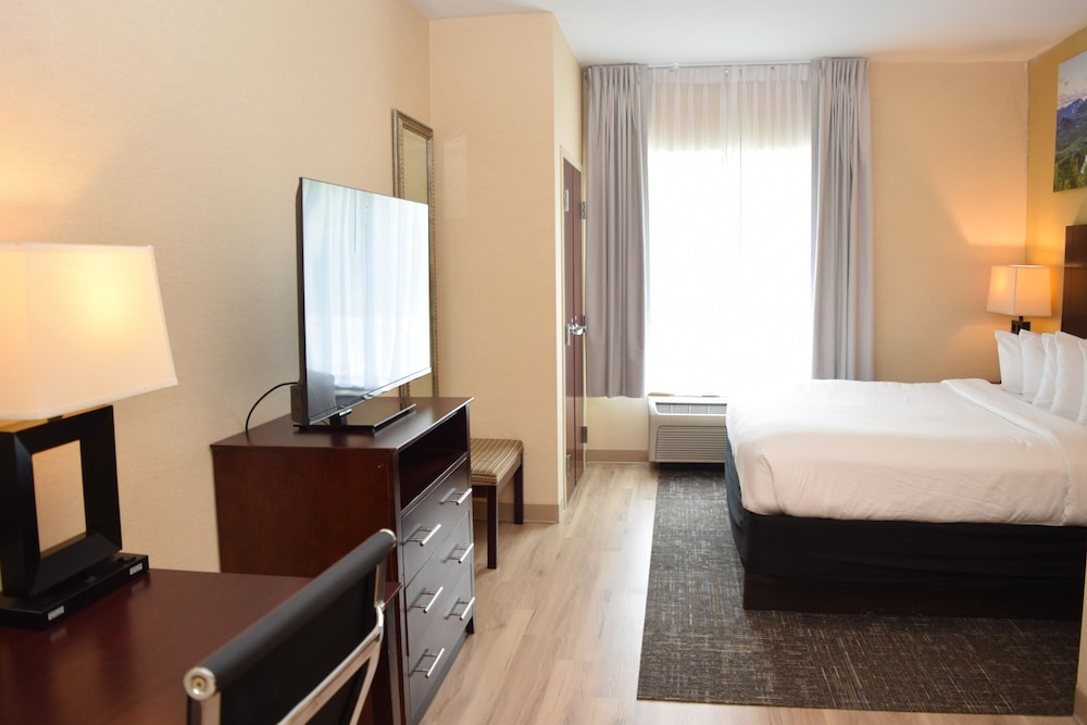 Deluxe Suite, Refrigerator & Microwave photo 2