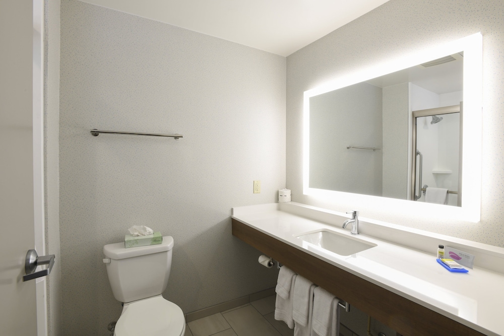 Suite, 1 King Bed, Accessible (Mobility Tran Shwr) - Photo 5