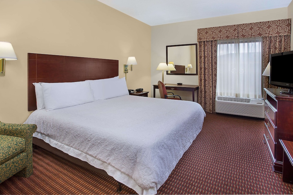 Room, 1 King Bed, Accessible, Non Smoking - Photo 4