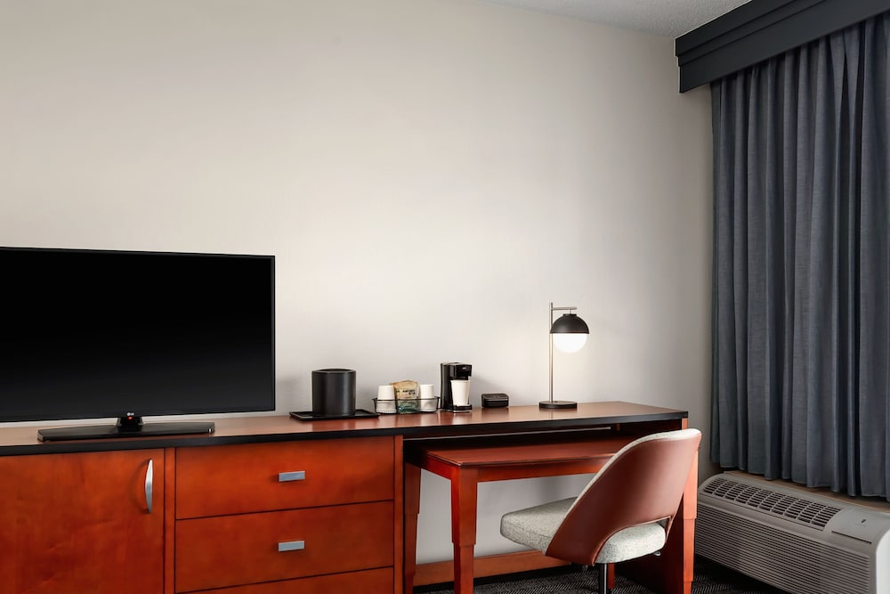 Room, 1 King Bed with Sofa bed (Mobility/Hearing Access, Roll-In Shwr) - Photo 4