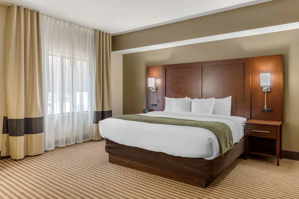 Suite, 1 King Bed, Non Smoking - Photo 8
