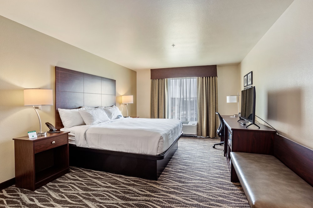 Room, 1 King Bed, Audible/Visual Alert, Non Smoking - Photo 1