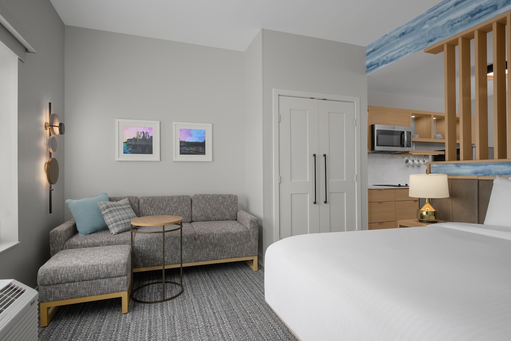 Studio, 1 King Bed, Mountain View