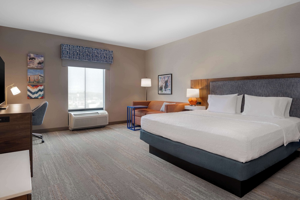 Room, 1 King Bed with Sofa bed, Refrigerator & Microwave