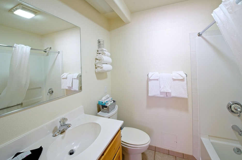 Basic Studio, 2 Queen Beds, Mountain View photo 2