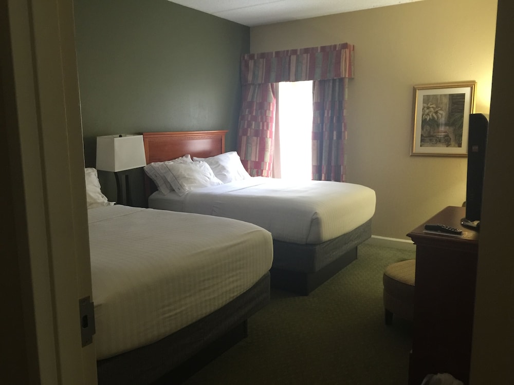 Suite, 1 Bedroom - Photo 2