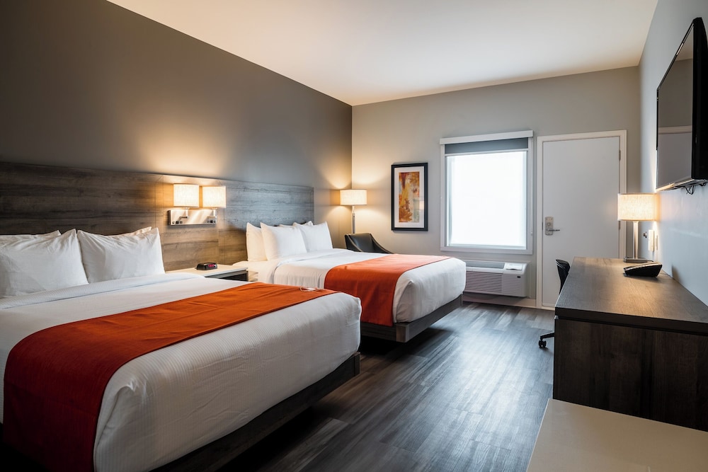 Standard Room, 2 Queen Beds, Non Smoking (Pet-Friendly) photo 1