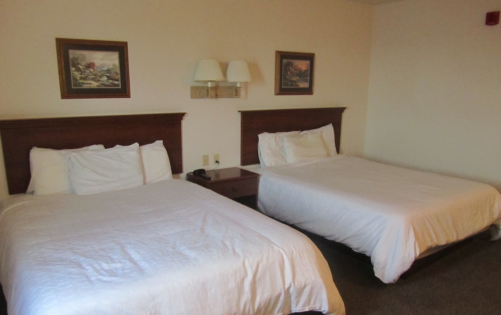 Classic Single Room photo 1