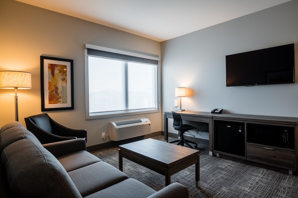 Suite, 1 King Bed, Non Smoking photo 1