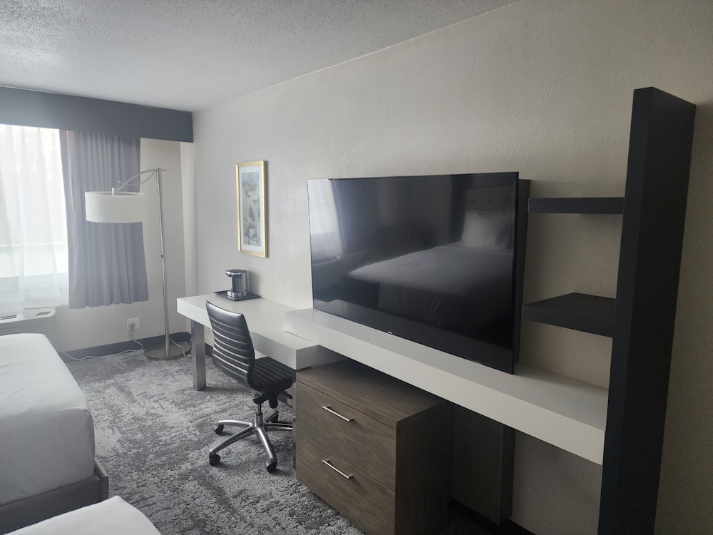Suite, 1 King Bed, Non Smoking (With Single Sofabed) photo 3