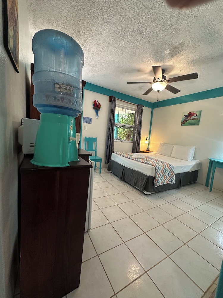 Standard Double or Twin Room, Multiple Beds, Refrigerator, Courtyard View photo 3