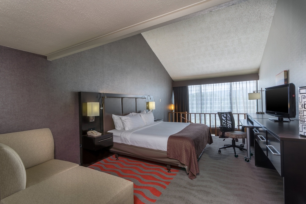Suite, 1 Bedroom - Photo 2