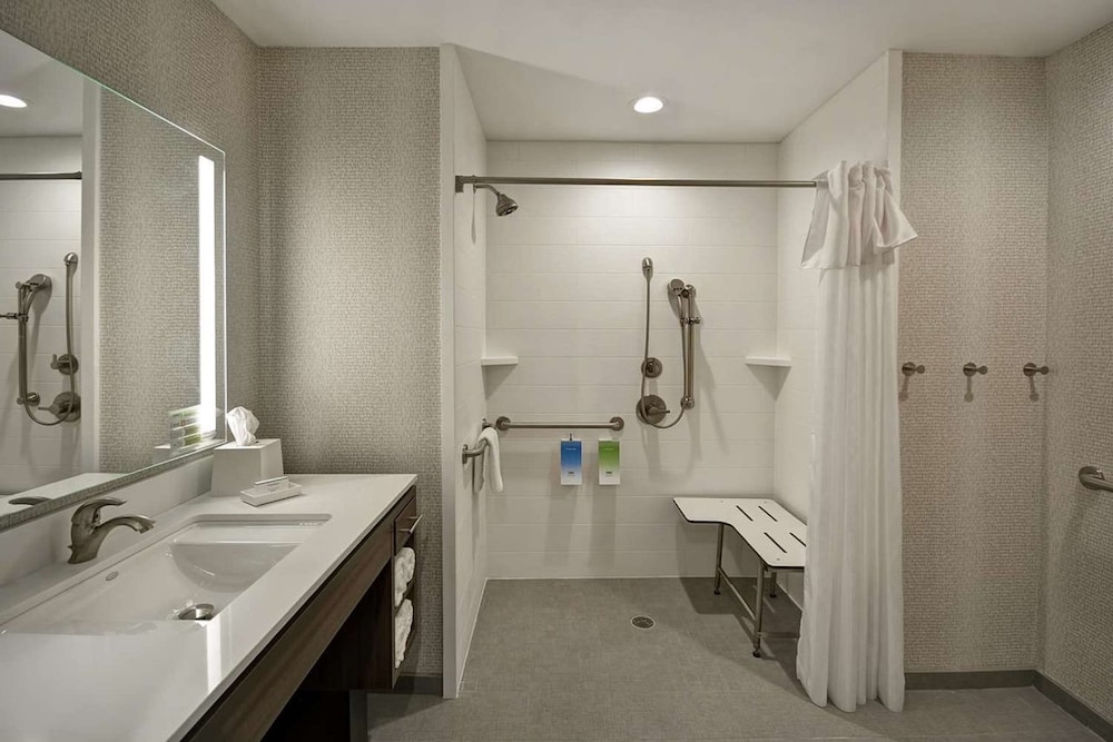 Studio, 1 King Bed, Accessible (Mobility & Hearing, Roll-in Shower) - Photo 9