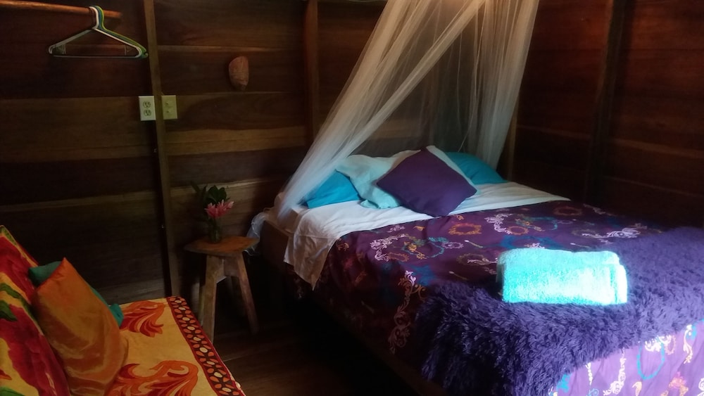 Economy Room photo 1