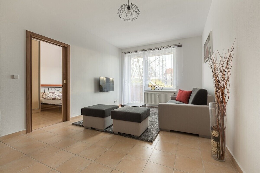 Standard Apartment, 1 King Bed with Sofa bed photo 3