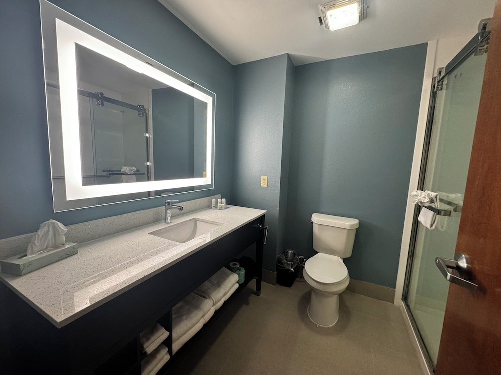 Suite, 1 King Bed, Non Smoking, Kitchenette - Photo 17