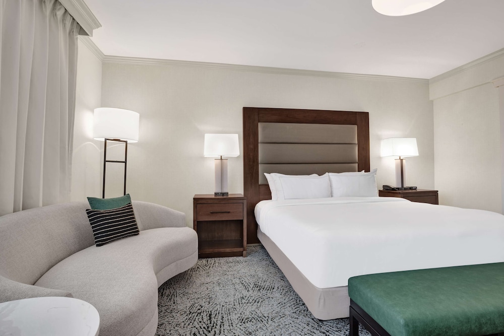 Suite, 1 King Bed photo 2