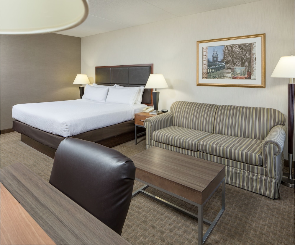 Standard Room, 1 King Bed, Accessible (Mobility, Accessible Tub) - Photo 10