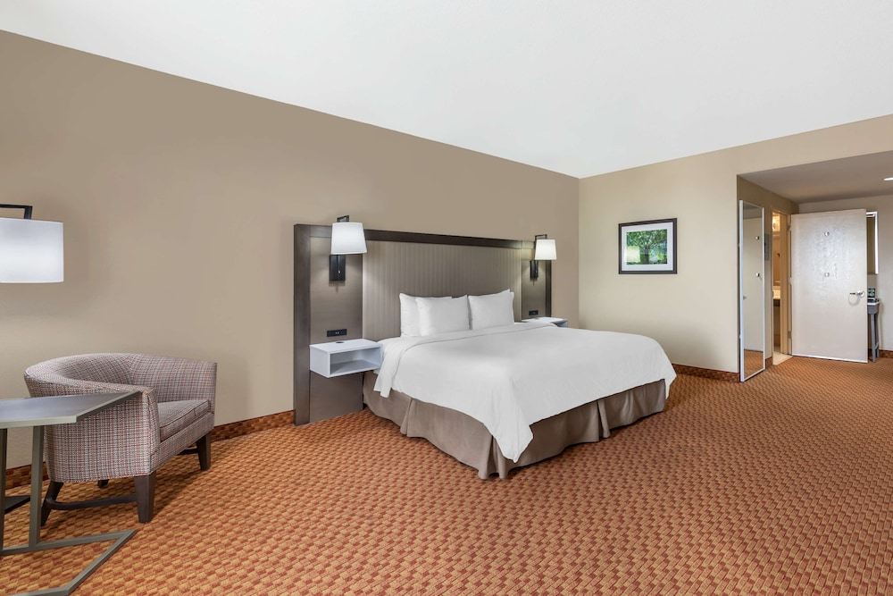 Standard Room, 1 King Bed, Accessible, Non Smoking photo 2