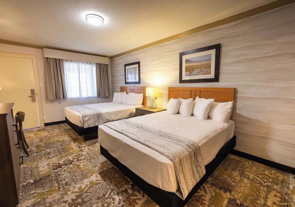 Deluxe Dune View Room With 2 Beds