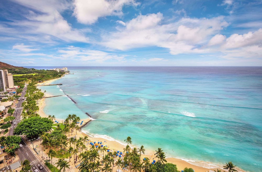 Room, 1 King Bed, Oceanfront (diamond Head)