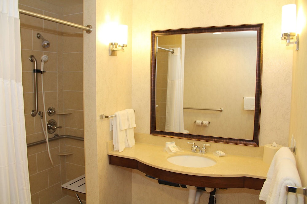 Hilton Garden Inn San Antonio/Rim Pass Drive, Foto 5