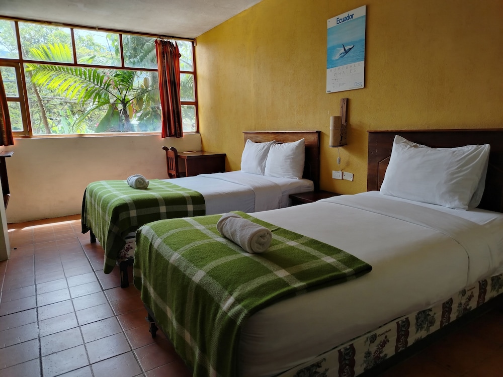 Basic Twin Room photo 1