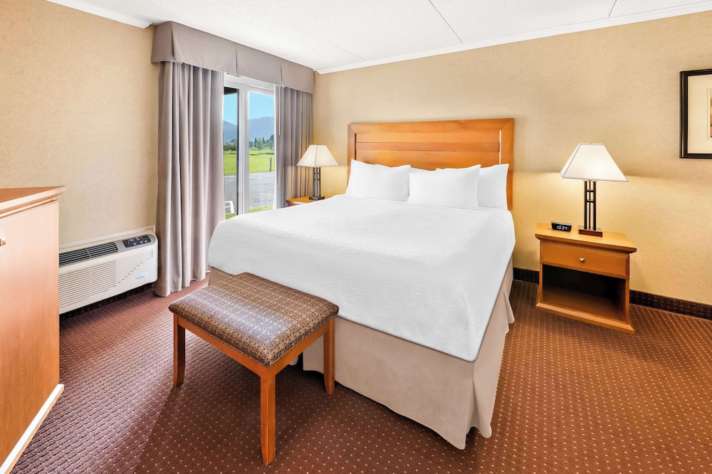 Suite, 1 King Bed, Non Smoking, Refrigerator & Microwave (with Sofabed) photo 1
