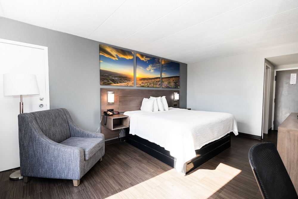 Room, 1 King Bed, Accessible, Non Smoking photo 3